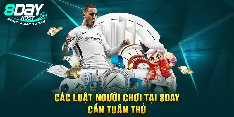 Quy định cho hội viên tham gia 8DAY